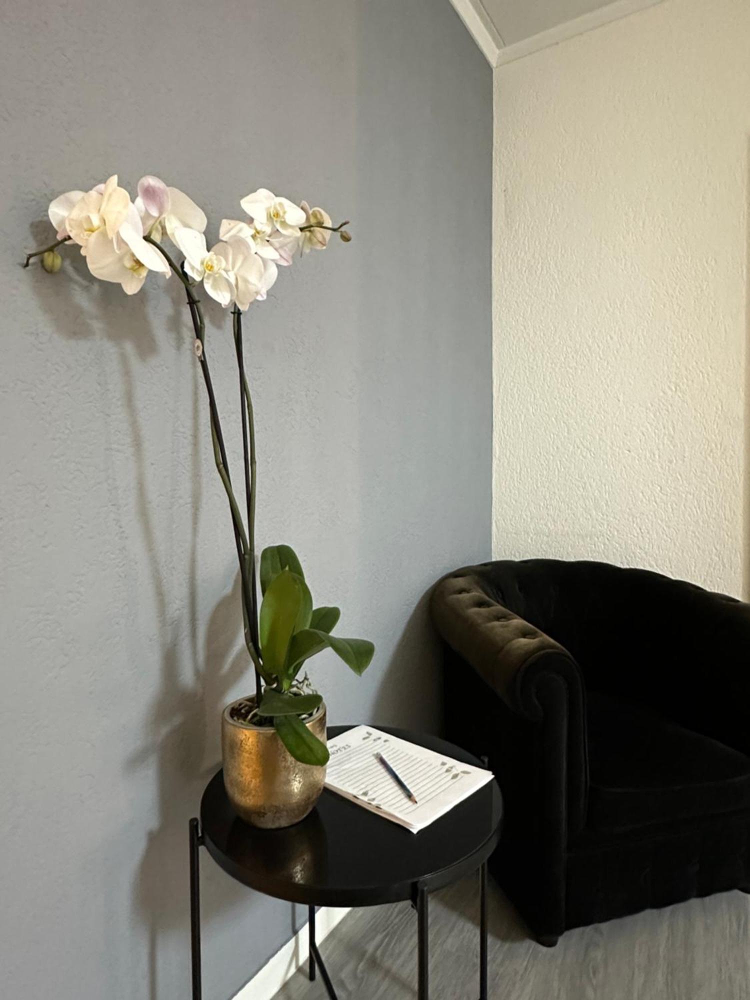 Lindo Apartamento En El Centro De Lausanne Extérieur photo